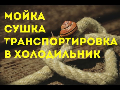 Видео: Мойка, сушка улитки, транспортировка в холодильник | Maxima | Muller | Бизнес в селе | Разведение |