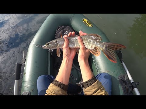 Видео: УСТАЛ ТАСКАТЬ ЭТИХ ЩУК! Рыбалка с лодки. Летний жор щуки 2020
