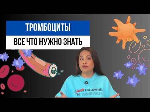 Видео: ТРОМБОЦИТЫ: все что нужно знать!