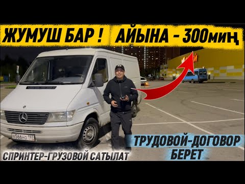 Видео: ЖУМУШ БАР 300миң АЙЛЫК 🔥СРОЧНО #89914241243 МЕРС СПРИНТЕР ГРУЗОВОЙ САТЫЛАТ! ЖУМУШУ МЕНЕН СРОЧНО ⚡️