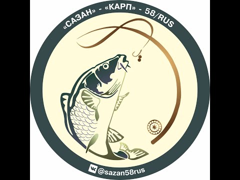 Видео: Батл по карпу- Пруд Валовский(малый)- ловля карпа в сентябре 2024