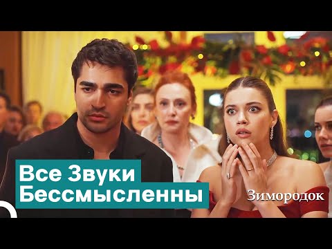 Видео: Сейран Узналa, Что Пелин Беременна | Зимородок