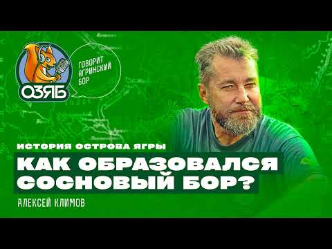 Видео: Почему остров Ягры - уникальное место? Алексей Климов - эколог, краевед