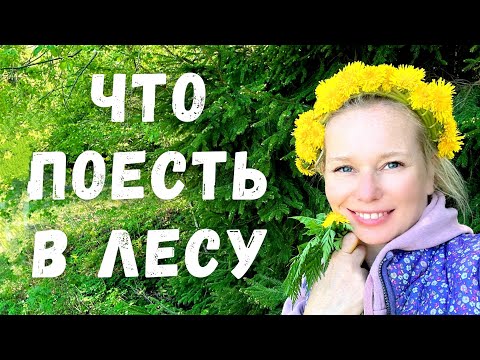 Видео: 🌲ЕДА И ЛЕКАРСТВО под ногами. Съедобные травы дикоросы весной