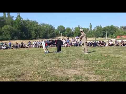 Видео: КАМАЛ ПАЛБАН $ КАЙРАТ ПАЛБАН 2023