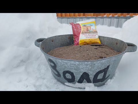 Видео: СМЕРТЕЛЬНАЯ БАНЯ ДЛЯ КУР! ИЛИ НАСТАВНИЦЫ ИЗ ПСИХУШКИ!!!  04.01.2023 год.