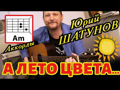 Видео: ЮРИЙ ШАТУНОВ - А ЛЕТО ЦВЕТА (ПРОСТАЯ ПЕСНЯ НА ГИТАРЕ) АККОРДЫ БЕЗ БАРРЭ (КАК  ИГРАТЬ) COVER 🎸