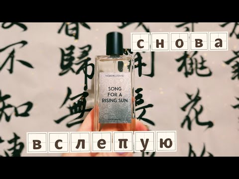 Видео: ОПЯТЬ НЕ УДЕРЖАЛАСЬ И ВЗЯЛА ВСЛЕПУЮ....👀