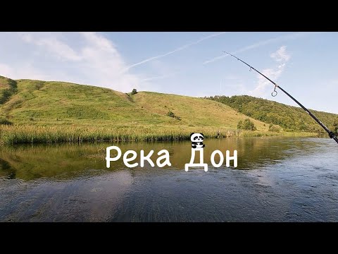 Видео: Ловля Жереха на Колебалки | Река Дон | Липецкая область