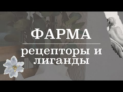 Видео: Рецепторы и лиганды (фармакодинамика) | Фармакология