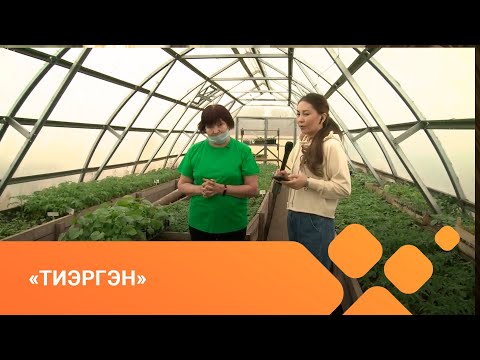 Видео: «Тиэргэн» ( 24.05.21)