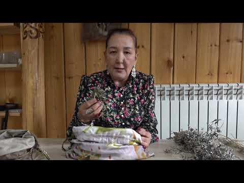 Видео: Эмтээх оту хомуйууга субэлэр