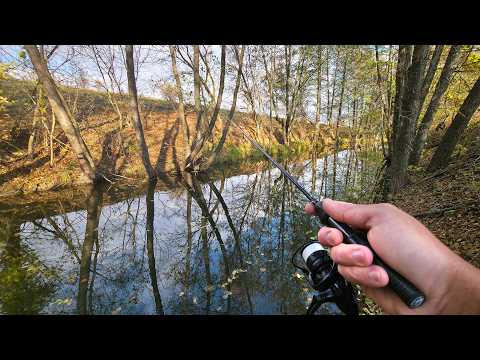 Видео: РЫБАЛКА В ГЛУШИ. ДИКАЯ РЕКА. Безмотылка! Рыбалка на мормышку и микродиж
