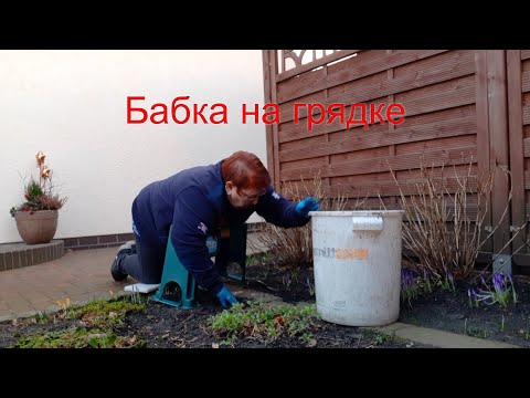Видео: Вместо зарядки, бабку на грядки. / 28