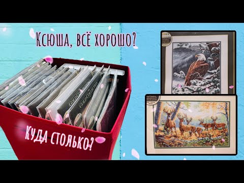 Видео: Приступ шопоголизма: как Ксюша накупила 16 наборов DIMENSIONS