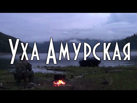 Видео: Уха амурская, подробный рецепт приготовления в тайге на берегу