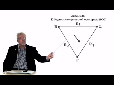 Видео: Евсеев А.В. Нормальная физиология. Лекция №17. Электрическая ось сердца. Кровяное давление. 2023