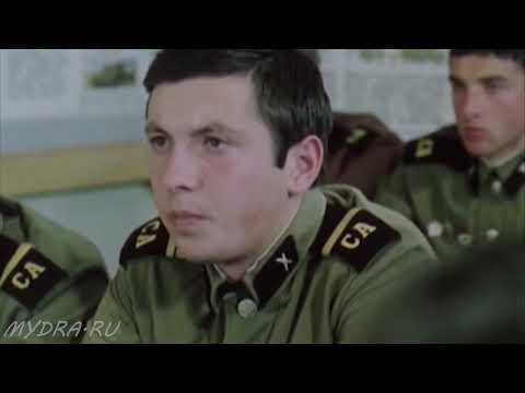 Видео: Товарищ