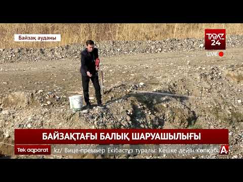 Видео: БАЙЗАҚТАҒЫ БАЛЫҚ ШАРУАШЫЛЫҒЫ