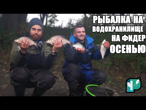 Видео: Рыбалка на фидер на водохранилище осенью