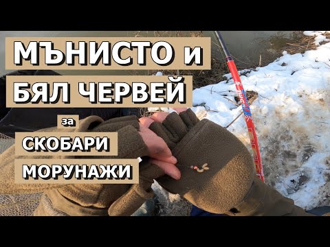 Видео: МЪНИСТО и БЯЛ ЧЕРВЕЙ за СНЕЖНИ СКОБАРИ и МОРУНАЖИ.РИБОЛОВ с БОЛОНЕЗА и ПЛУВКА еп 18