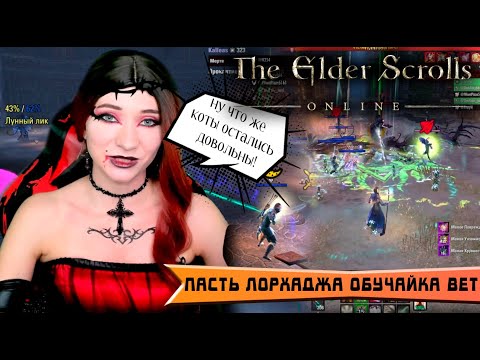 Видео: "TЕСО - "Пасть Лорхаджа! Сейчас нам дадут люля коты? но мы им тоже дали!"  #teso