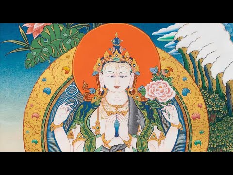 Видео: Разум сердца сквозь тело, науку и буддизм. Эфир и практика