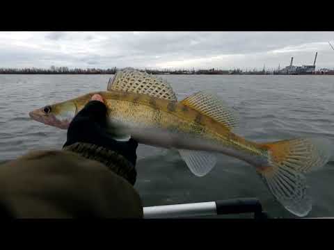 Видео: Открыл сезон ловли судака 2022