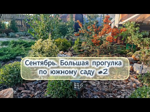 Видео: Сентябрьская прогулка по южному саду #2 Яркие краски осени. 