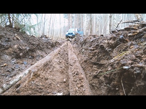 Видео: ВЫТАЩИТЬ ИХ ОТСЮДА ЛЮБОЙ ЦЕНОЙ!