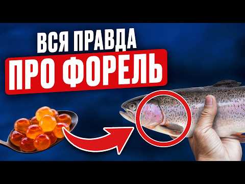 Видео: Все что вы должны знать о форели за 15 минут! Не покупайте фермерскую рыбу, пока не посмотрите…