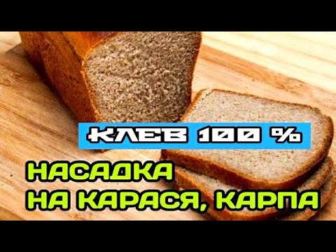 Видео: ТЕСТО ДЛЯ РЫБАЛКИ НА КАРАСЯ. НАСАДКА ИЗ ЧЕРНОГО ХЛЕБА НА КАРАСЯ, КАРПА, ПЛОТВУ