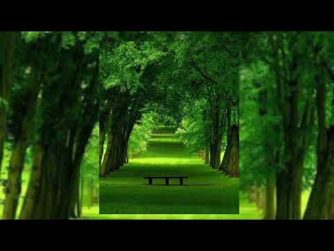 Видео: Jah Khalib - Лейла (speed up)