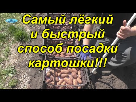Видео: Посадка картошки "под мотоблок". Быстро, просто, легко!