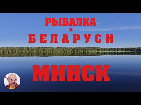 Видео: Ловля окуня и судака в Беларуси. Лето, 2021