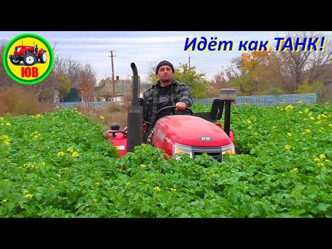 Видео: ШИКАРНОЕ удобрение для огорода!!!