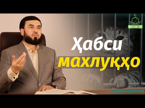 Видео: Шарҳи ҳадиси 2364 || Саҳеҳи Бухорӣ