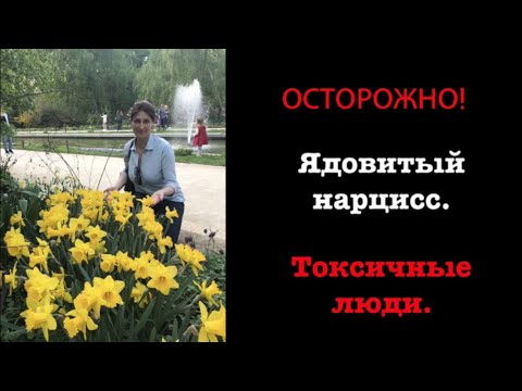 Видео: Ядовитый нарцисс. Токсичные люди.
