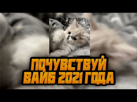 Видео: ЛУЧШИЕ ВАЙБОВЫЕ ТРЕКИ 2021 ГОДА