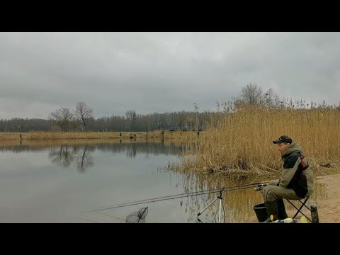Видео: РЫБАЛКА НА ФИДЕР 2024. ТЁПЛЫЙ ФЕВРАЛЬ ФИДЕРНАЯ РЫБАЛКА 29 ФЕВРАЛЯ