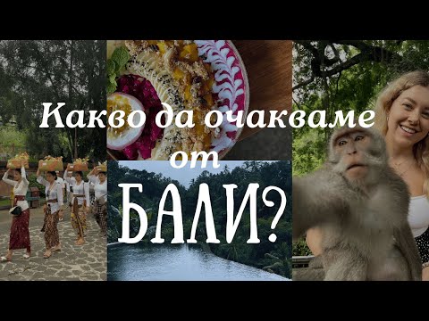 Видео: УБУД без филтър 🌿🐒
