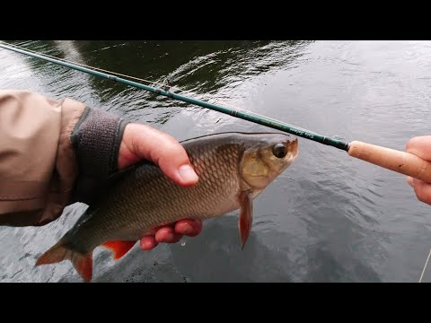 Видео: Видео к недавнему отчёту с рыбалки на наших каналах.