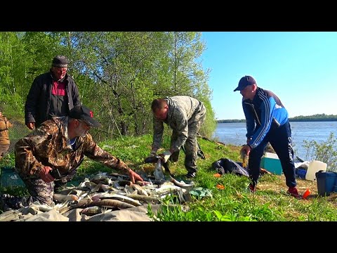 Видео: Не ДУМАЛИ что ТАК НАЛОВИМ! В ЭТОМ МЕСТЕ  КУЧА РЫБЫ! О такой РЫБАЛКЕ МЕЧТАЮТ МНОГИЕ