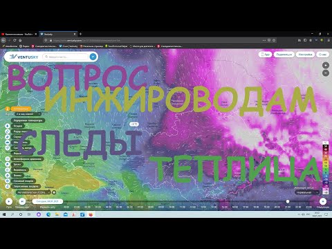 Видео: Январь Подземная теплица Вопрос