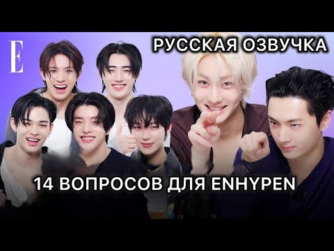 Видео: РУССКАЯ ОЗВУЧКА - ENHYPEN - Общежитие ENHYPEN муравейник..? 🐜 | ELLE KOREA
