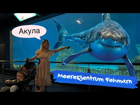 Видео: На край Германии 🚗🌊 Путешествие на остров Fehmarn | Океанариум Meereszentrum + прогулка у моря