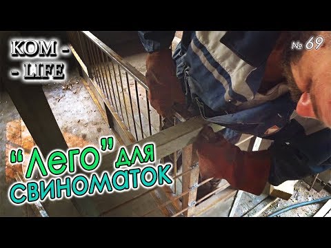 Видео: КАК БУДУТ РАЗБИРАТЬСЯ КЛЕТКИ У СВИНЕЙ