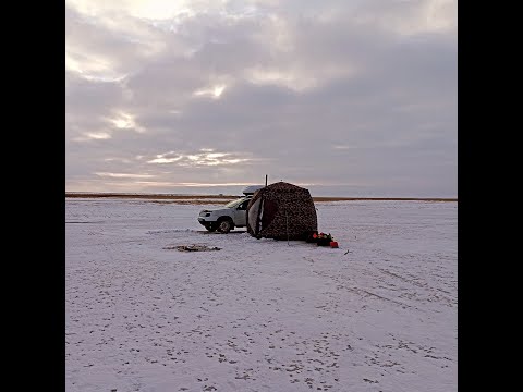 Видео: рыбалка Костанай 18-19.12.2024 Оз.Речное