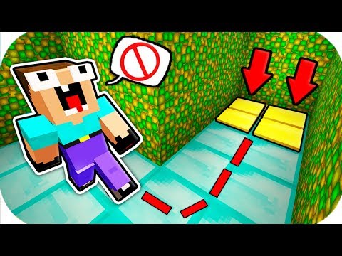 Видео: НУБ ЗАТРОЛЛЕН НЕВИДИМЫМ ПРО Майнкрафт, но Нубик Против Лабиринт из Опыта Ловушка ! ТРОЛЛИНГ ПЭНН