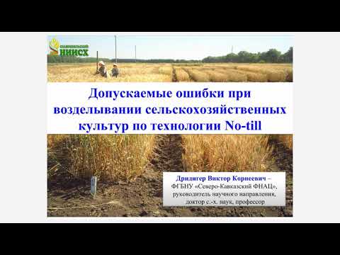 Видео: Допускаемые ошибки при возделывании сельскохозяйственных культур по технологии No-till